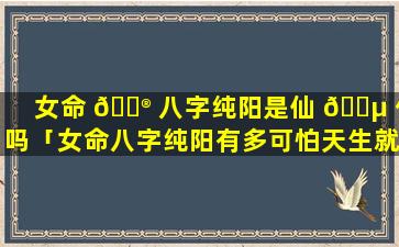 女命 💮 八字纯阳是仙 🌵 体吗「女命八字纯阳有多可怕天生就是女强人」